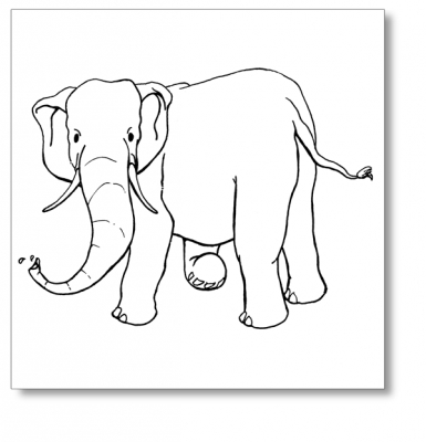 An Elephant Goes Like This And That